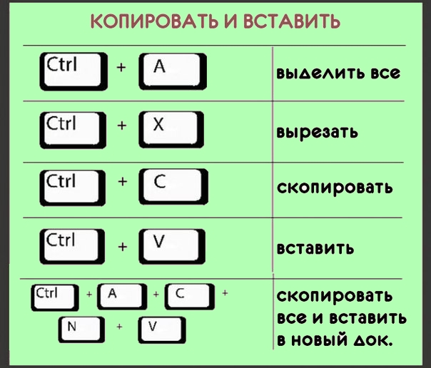 Как копировать текст с помощью клавиатуры: как выделить и вставить