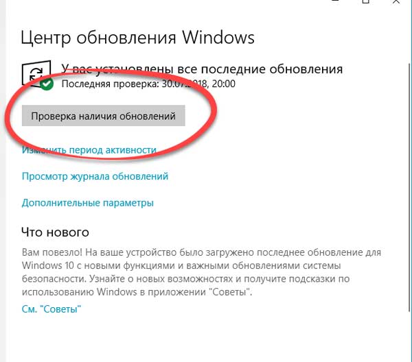 Не работает магазин windows 10: решение проблемы
