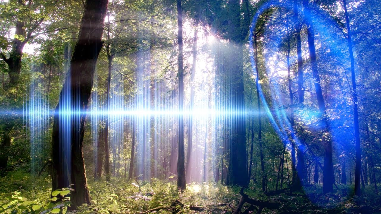 Aura 2.6.11.126 - звуки природы - скачать aura звуки лес природа »  2022