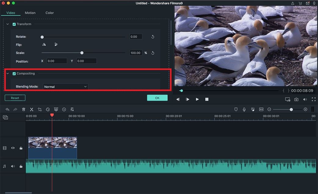 Видеоредактор wondershare filmora предлагает новичкам и домашним пользователям удобные инструменты для создания видео | photowebexpo