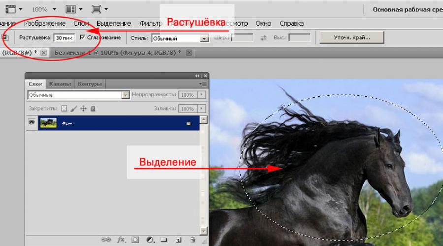Уроки фотошоп. тема 2. выделение в adobe photoshop. часть 6 совмещение выделений в adobe photoshop. - cadelta.ru