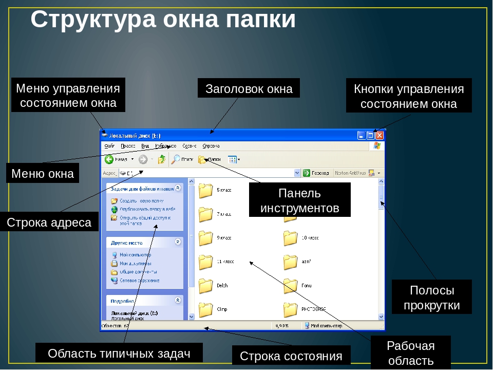 Открой историю файлов. Окно папки. Название элементов окна папки. Структура окна папки. Структура окна Windows.