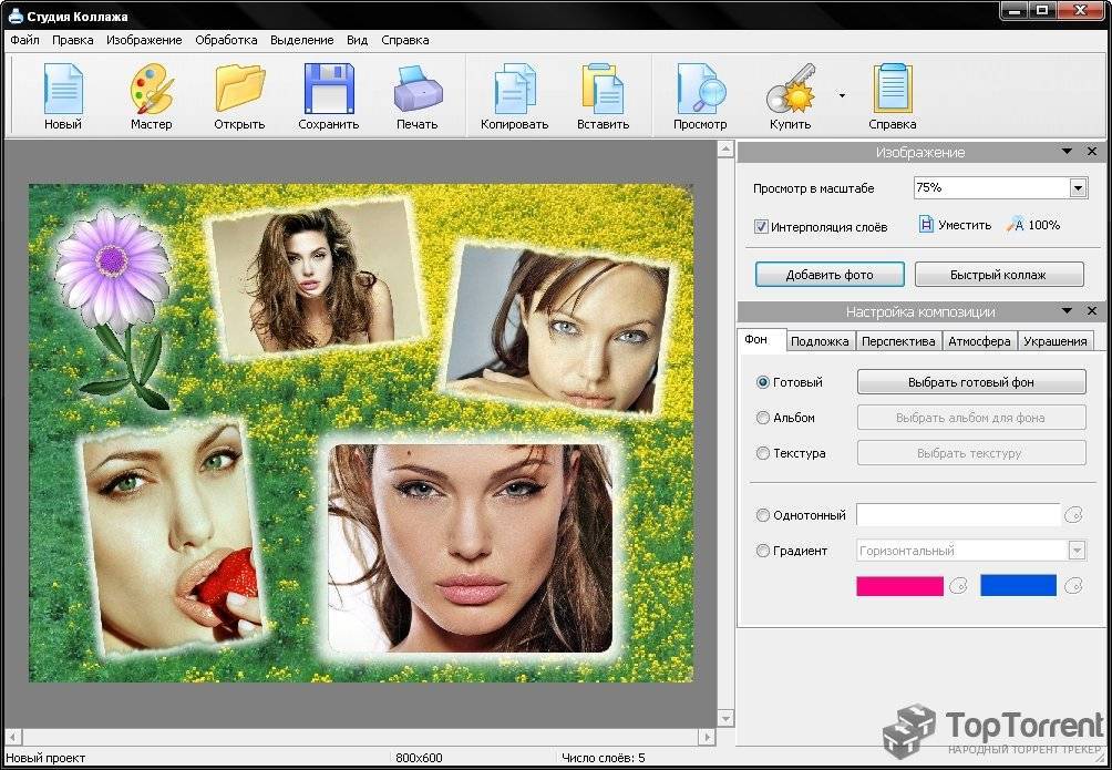 Графический редактор программа Funny Photo Maker позволяет создавать шутливые изображения и фотоприколы с использованием фоторамок и коллажей