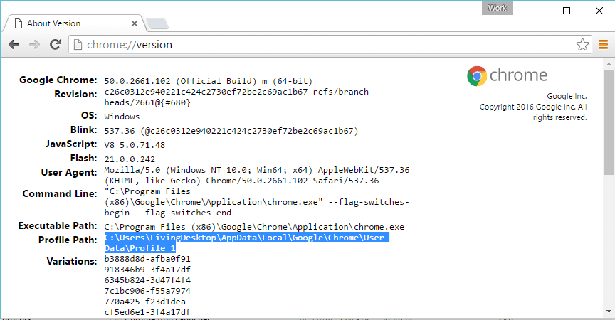 Appdata local google chrome
