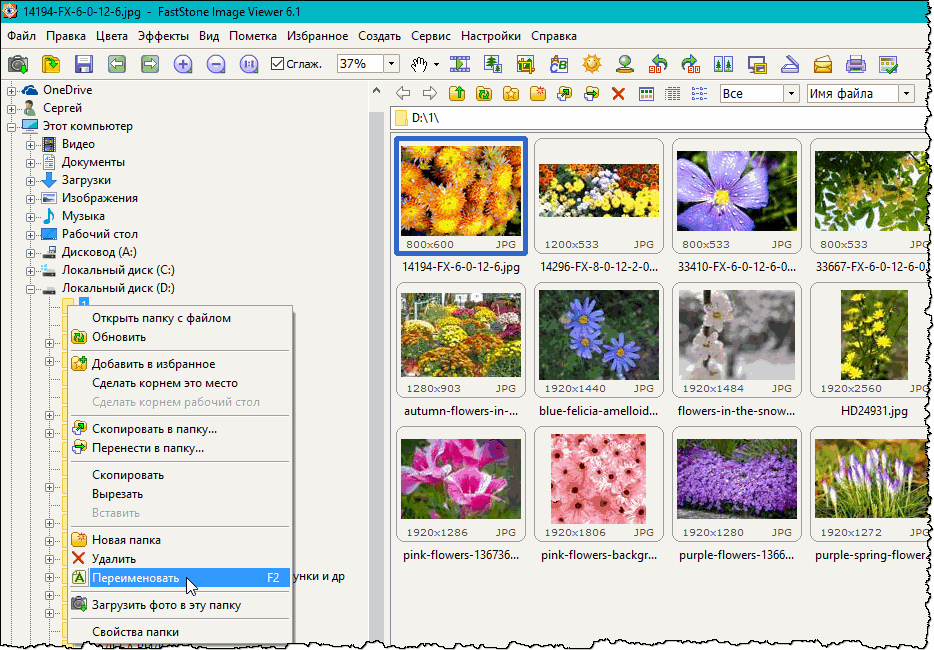 Faststone image viewer как сжать несколько фотографий одновременно